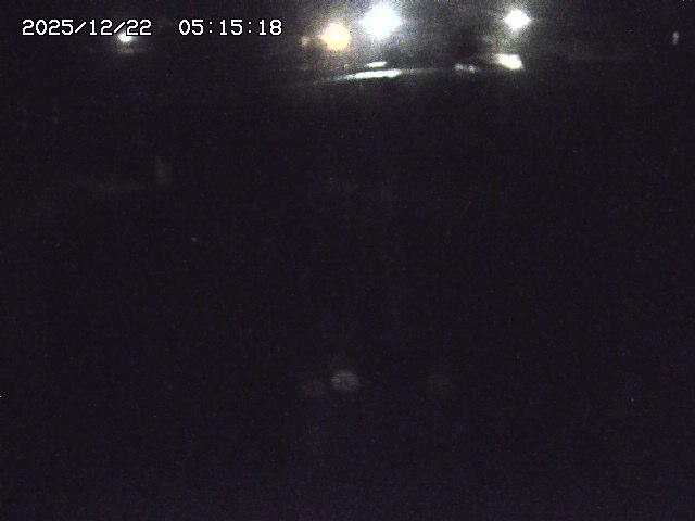 取得できませんでした