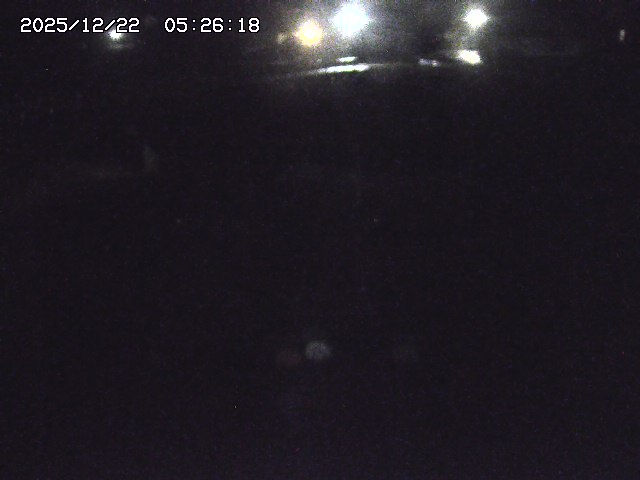 取得できませんでした