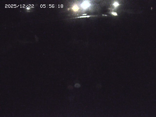 取得できませんでした