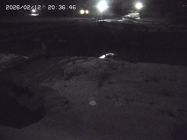 取得できませんでした