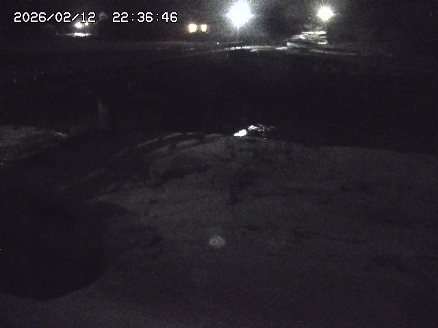 取得できませんでした