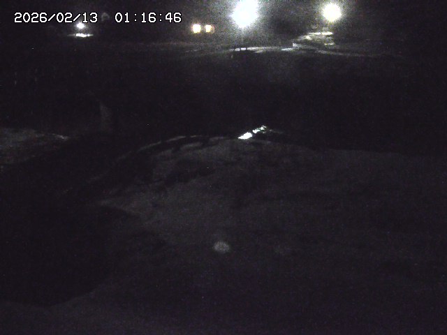 取得できませんでした