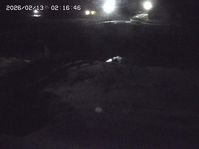 取得できませんでした