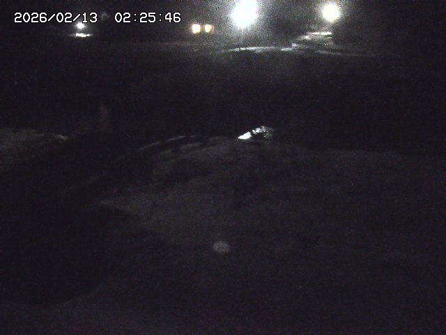 取得できませんでした