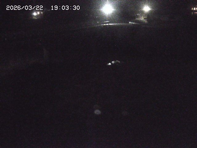 取得できませんでした