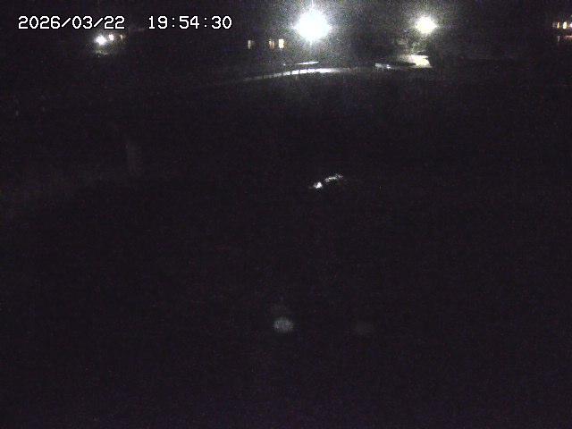 取得できませんでした