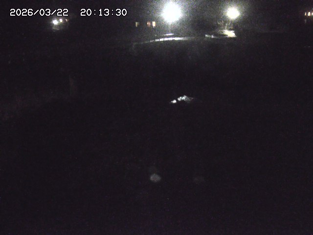 取得できませんでした