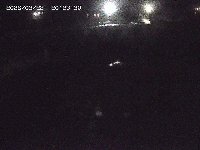 取得できませんでした