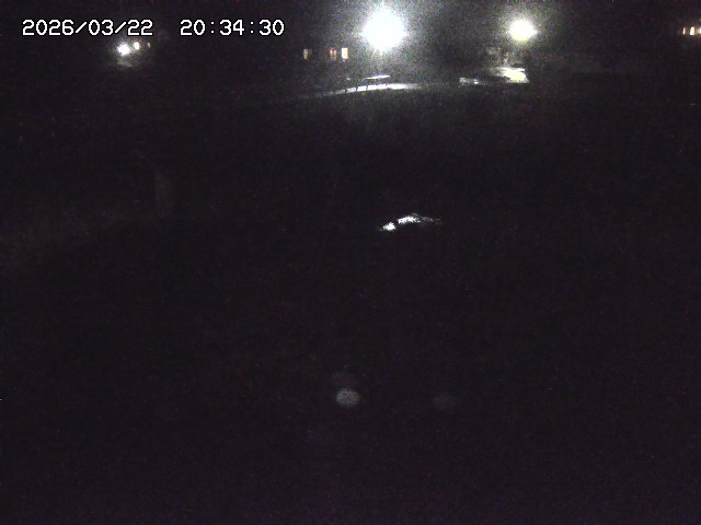 取得できませんでした