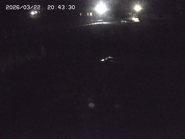 取得できませんでした