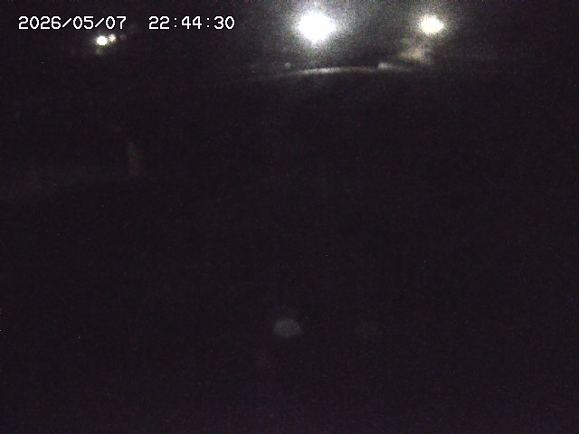 取得できませんでした