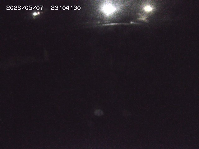 取得できませんでした