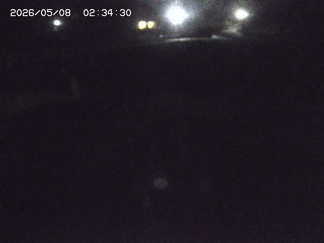 取得できませんでした