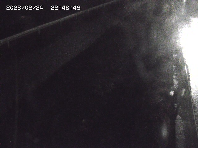 取得できませんでした