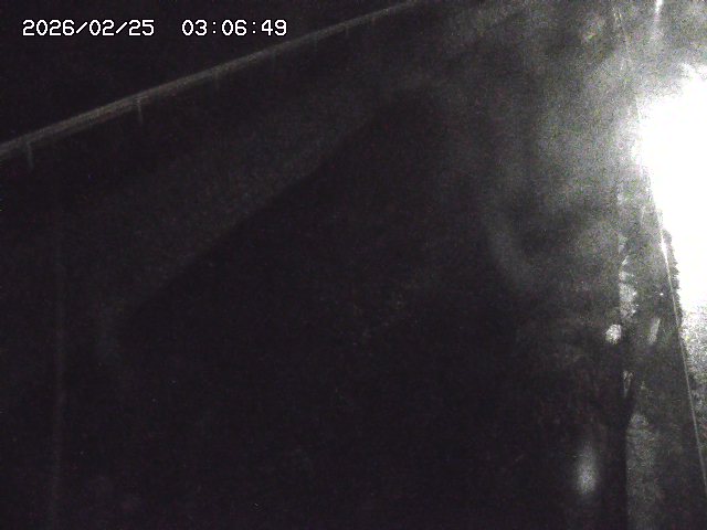 取得できませんでした