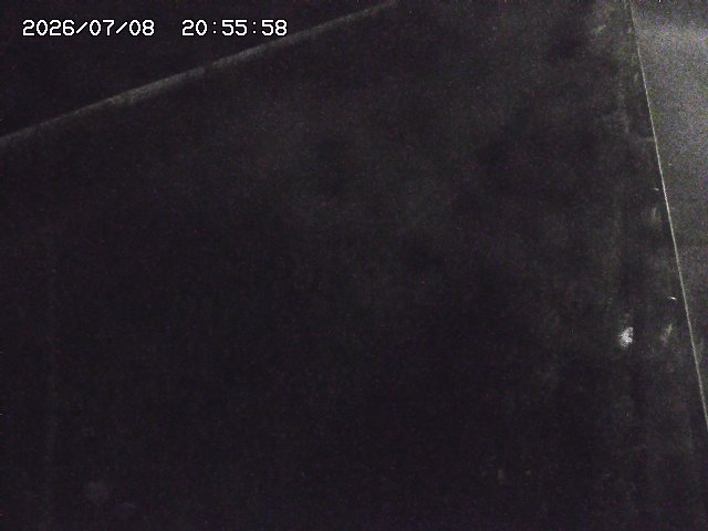 取得できませんでした