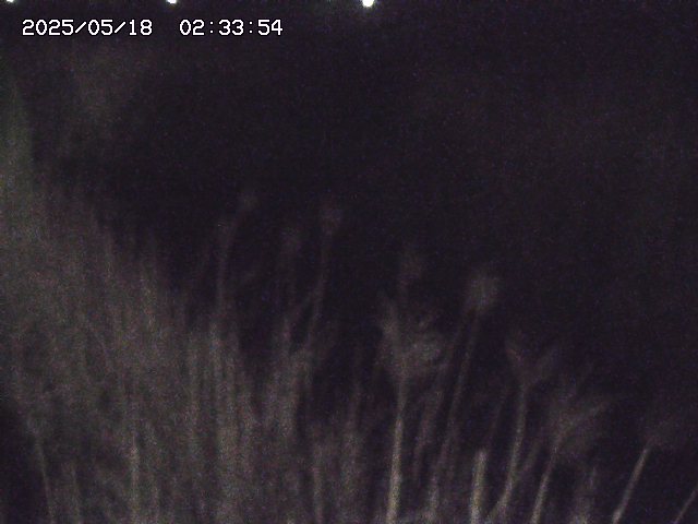 取得できませんでした