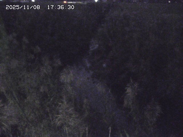 取得できませんでした