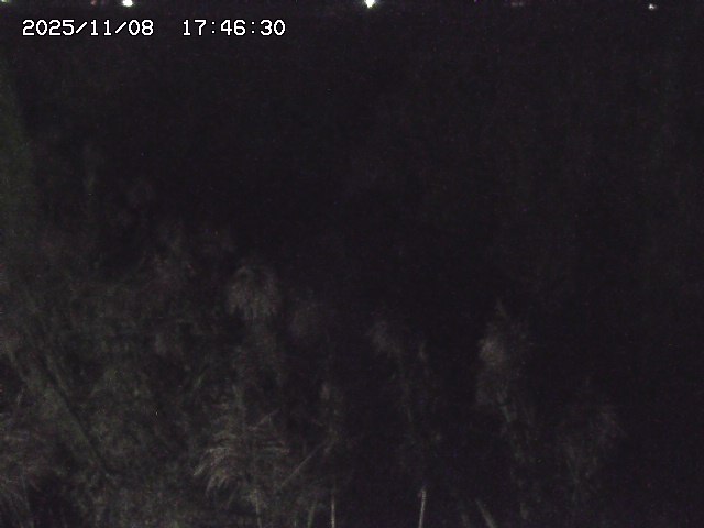 取得できませんでした