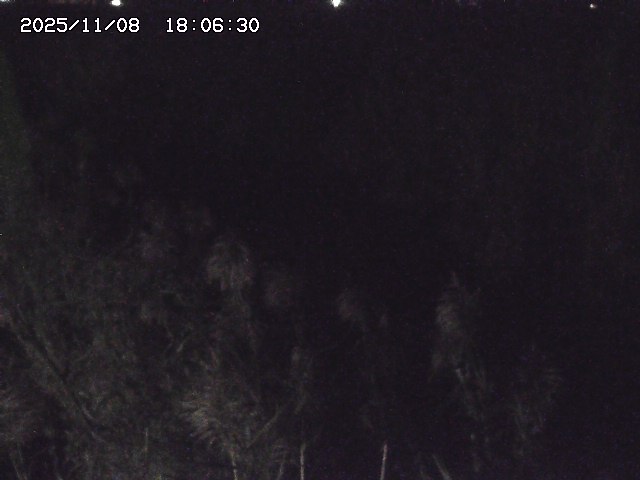 取得できませんでした