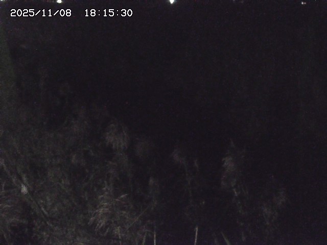 取得できませんでした