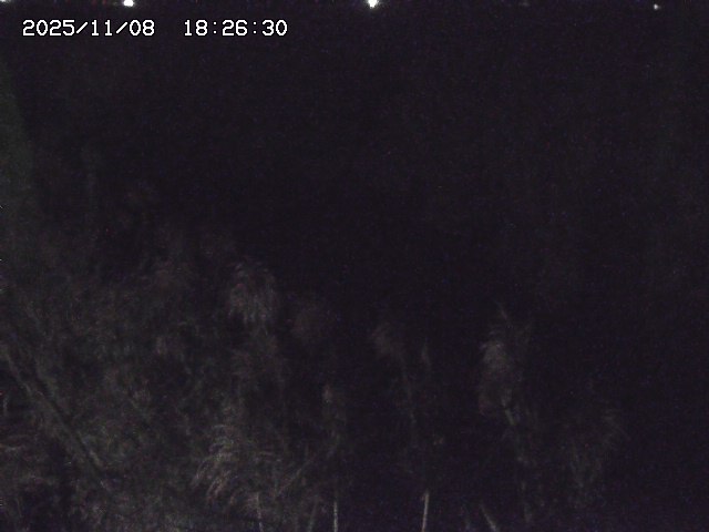 取得できませんでした