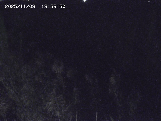 取得できませんでした