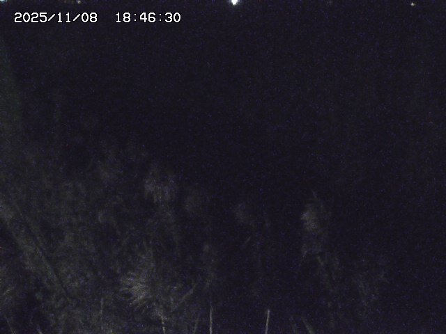 取得できませんでした