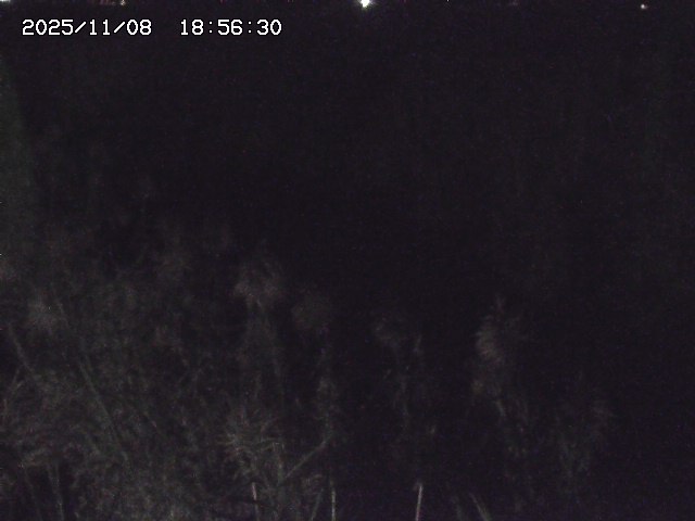 取得できませんでした