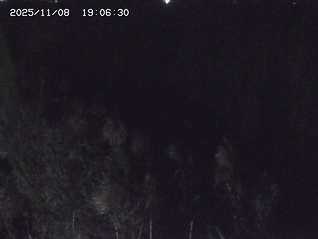 取得できませんでした