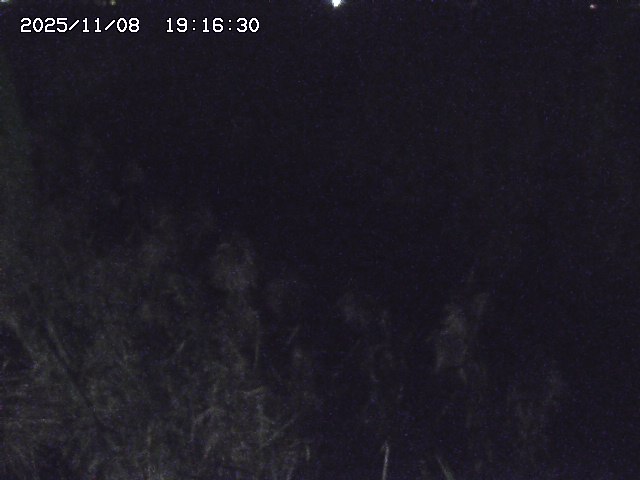 取得できませんでした