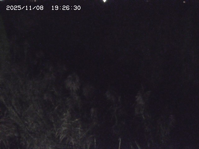 取得できませんでした