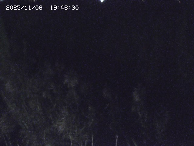 取得できませんでした