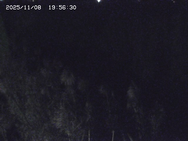 取得できませんでした