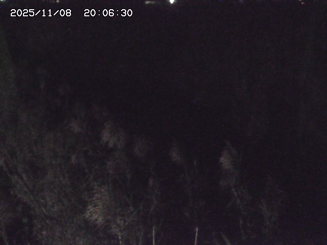 取得できませんでした