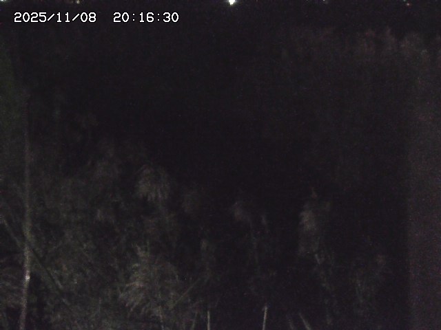 取得できませんでした