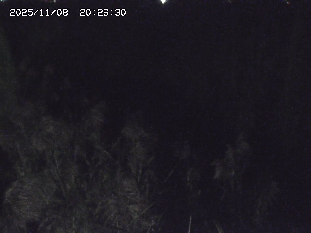 取得できませんでした