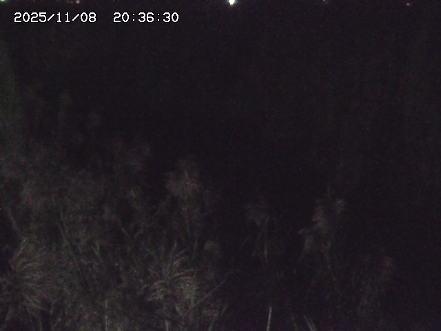 取得できませんでした