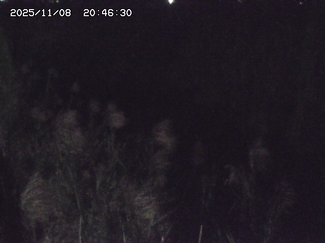 取得できませんでした