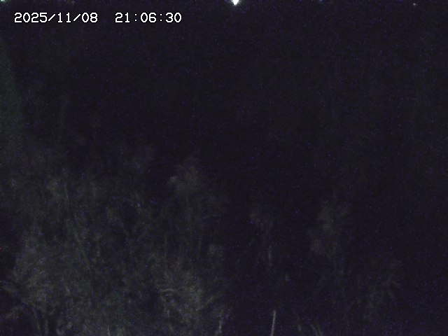 取得できませんでした