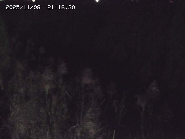 取得できませんでした