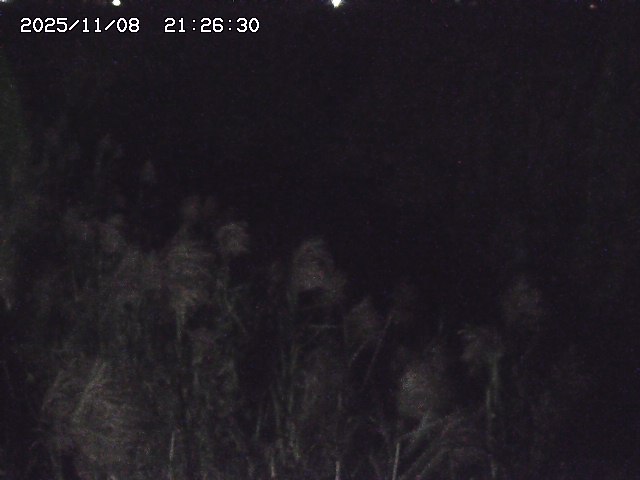 取得できませんでした