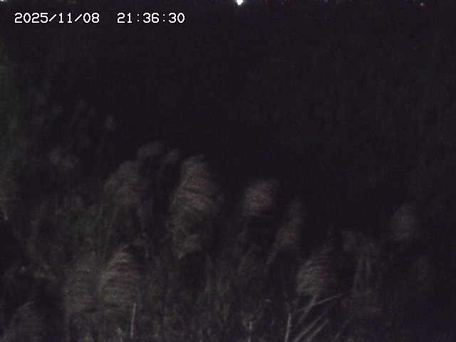 取得できませんでした