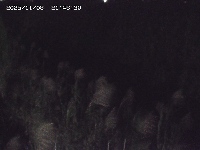 取得できませんでした