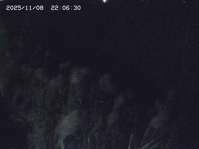 取得できませんでした