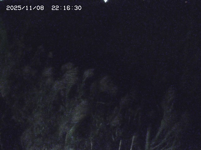 取得できませんでした