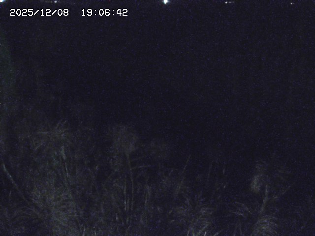 取得できませんでした