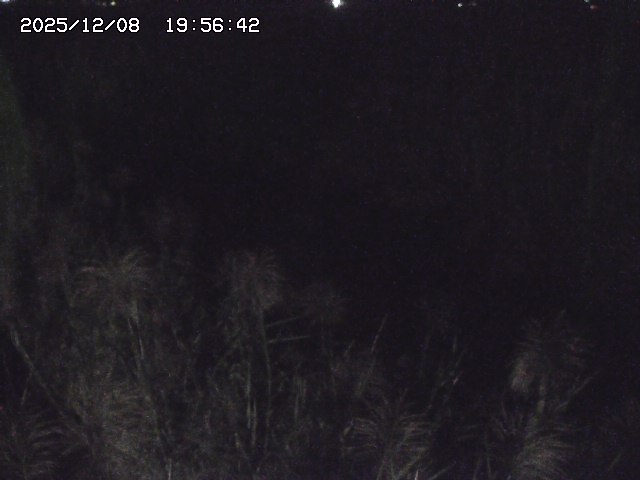 取得できませんでした