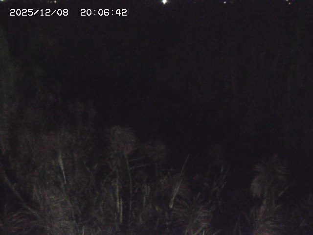 取得できませんでした