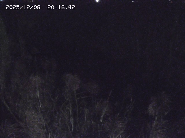 取得できませんでした